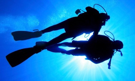 Two- or Four-Hour SCUBA Experience, or All-Inclusive SCUBA Course from Aquanauts Scuba Academy (Up to 60% Off)