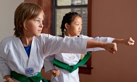 One or Three Months of Martial Arts Classes at Neff Martial Arts School (Up to 57% Off). Four Options Available.