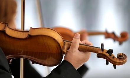Up to 63% Off on Online Musical Instrument Course at Terra Sounds