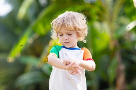 Up to 32% Off on DAILY BUG SHIELD *MOSQUITO REPELLENT PATCH SAFE FOR KIDS OF ALL AGES