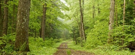 Up to 40% Off on Hiking Trails at Mountain Laurel Riding Stables
