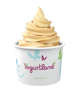 $10 For $20 Worth Of Frozen Yogurt