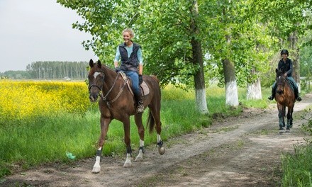 One- or Two-Hour Horseback Trail Ride at Rancho Bravo (42% Off)