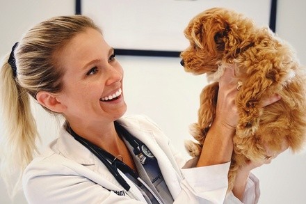 Up to 90% Off on Vet at Pet Health Center