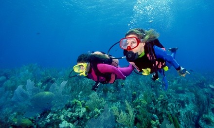 $81.60 for Scuba Pre-Certification Training Course at The Great American Diving Company ($199 Value) 