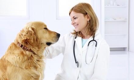 Veterinary Support Assistant Course with Optional Pet Nutrition Course from Holly and Hugo (Up to 97% Off)