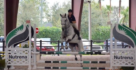 Up to 40% Off on Horse Back Riding - Training at Invictus Farm