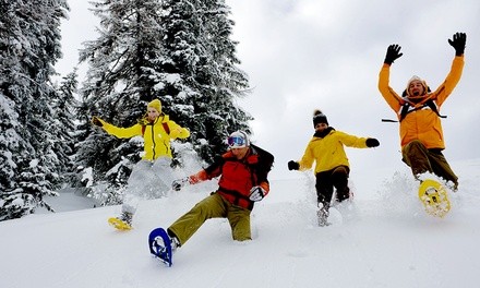 Guided Snowshoe Tour for One, Two, Three, or Four from Tahoe Outdoor Adventures (Up to 55% Off)