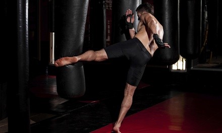 Up to 70% Off at Garth Taylor Jiu-Jitsu and Martial Arts