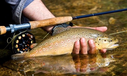 Up to 44% Off on Fishing at Utah Tenkara Guide