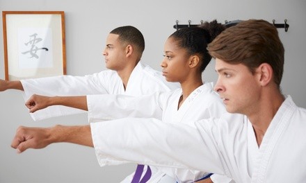 Up to 67% Off on Martial Arts / Karate / MMA - Activities at Gracie Barra Westlake