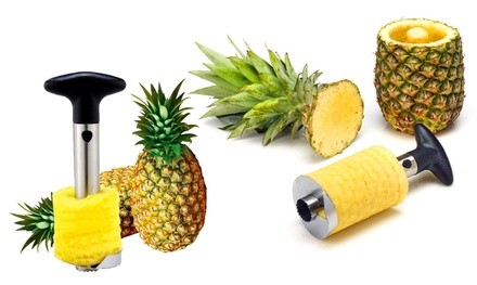 Stainless Steel Pineapple Corer Tool