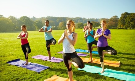 Up to 65% Off on Yoga Class at Bikram Hot Yoga State College