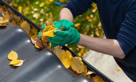 Up to 20% Off on Gutter Cleaning at Landscaping and more 704