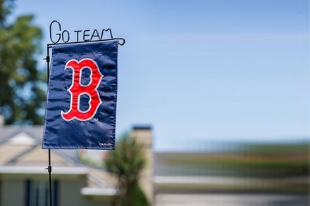MLB Weatherproof Garden Applique Flags
