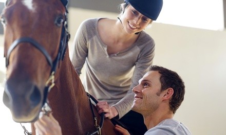 One, Two, or Three Private Horseback-Riding Lessons at Showcase Stables (Up to 30% Off)