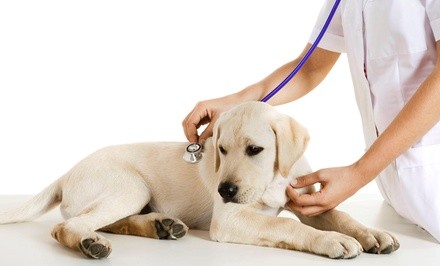 Up to 50% Off at Vacaville Animal Care Center