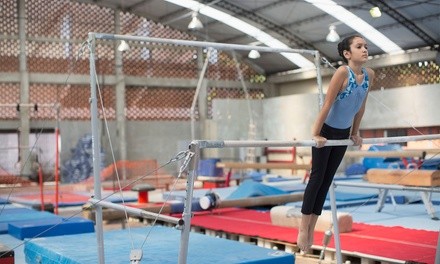 Up to 50% Off on Gymnastics (Activity / Experience) at Kalamazoo Elite Gymnastics Academy