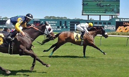 Day at the Races for One, Two, Four, or Six at Tampa Bay Downs (Up to 66% Off)