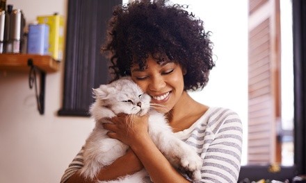 $39 for One Pet Psychic Communication Session from Judy Guetig ($75 Value)