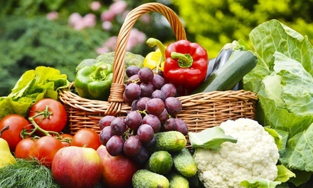 Up to 50% Off on Nutritionist at Nutritional Therapy Montana