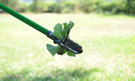 Stand-Up Weed Root Remover