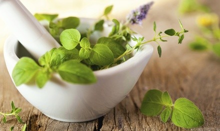 Homeopathy Consultation with Gift Certificate, or Followup Visit at Cheryl Wood Homeopathy (Up to 20% Off)