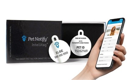 $15 for Intellitag Smart Pet Tag from Pet Notify ($19.95 Value)