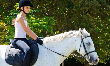 One or Two 35-Minute Horseback Riding Classes at Never Ending Farm (30% Off)