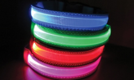 Furhaven LED Safety Pet Collar