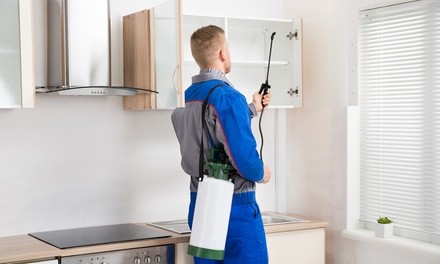 Up to 50% Off on Pest Control Service - General at Iron City Pest Management