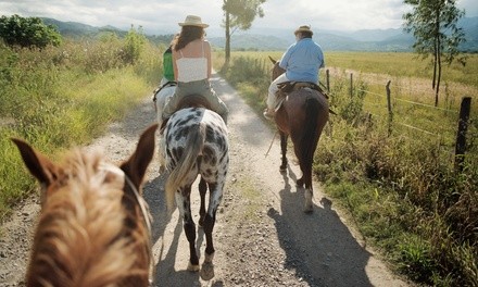 One or Two 30-Minute Horseback Riding Classes at Never Ending Farm (30% Off)