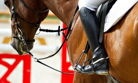 Up to 50% Off on Horse Back Riding - Training at Campton Hills Equestrian Center