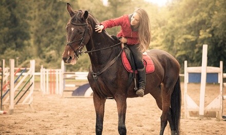 30-Minute Horseback Corral Ride for Two, Three, or Four at Ascend Camp & Retreat Center (Up to 29% Off)