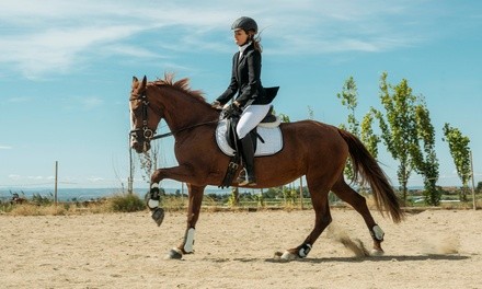 Up to 50% Off on Horse Back Riding - Training at Epona Riding Academy