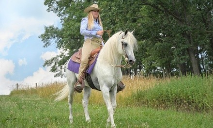 Up to 25% Off on Horse Back Riding - Recreational at AKB horsemanship