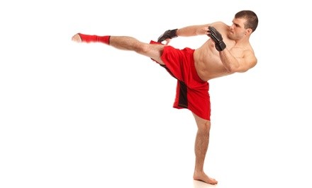 One or Three Months of Unlimited Muay Thai, Jiu Jitsu, and MMA Classes at All Fitness (Up to 70% Off)
