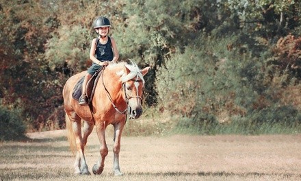 Three 60- or 90-Minute Horseback-Riding Lessons for One Month at BITS Back In The Saddle (Up to 30% Off)