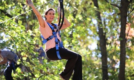 All-Day Adventure Pass for One, Two, Four, or Six to The Adventure Park at The Discovery Museum (Up to 43% Off)