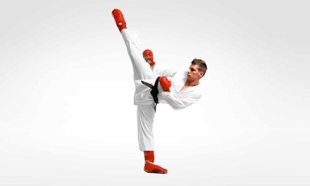 Two, Four, or Eight 60-Minute Judo, Karate, or Jiu Jitsu Classes at Delgado Karate (Up to 25% Off)