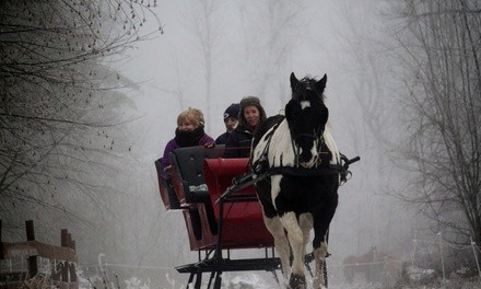Private Sleigh Ride with Hot Chocolate and S'mores Available at Cornerstone Ranch (Up to 36% Off). Two Options.