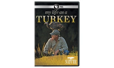 NATURE: My Life as a Turkey DVD