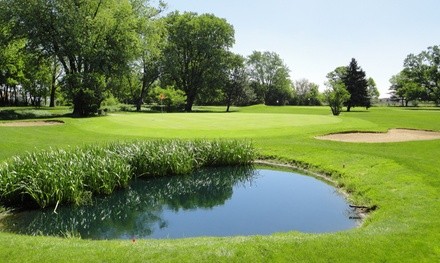 18-Hole Round of Golf with Cart for Two or Four at Sycamore Golf Club (Up to 53% Off)