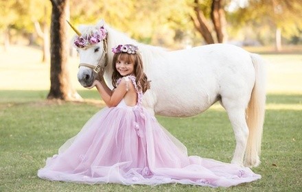 Up to 56% Off on Cupcake (Bakery & Dessert Parlor) at Cressbrook Stables at Rolling Hills Equestrian Center