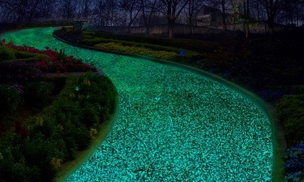 100 Glow in the Dark Pebbles for Walkways