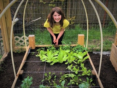 Up to 60% Off on Gardening / Farming / Beekeeping Education at Seed to Seed