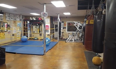 1 or 3 One-Hour Private Boxing Workouts or 10 One-Hour Personal-Training Sessions at BCBA (Up to 44% Off)