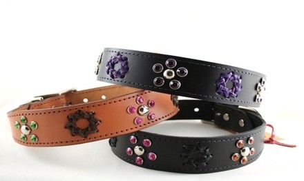 $45 Off $89 Worth of Accessory - Pet