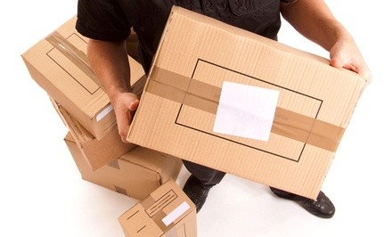 $17 for $30 Worth of Messenger Services — Girl on the Go