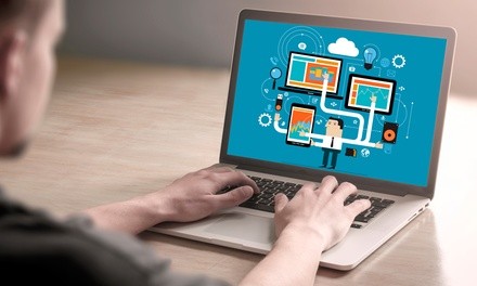 $427 for $950 Worth of Services — Weevie